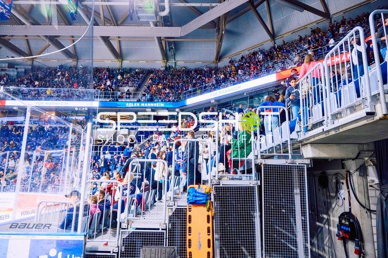 Adler Mannheim vs Straubing Tigers 14:00 Uhr