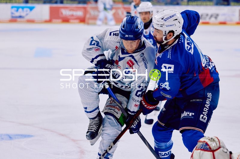 Adler Mannheim vs Straubing Tigers 14:00 Uhr