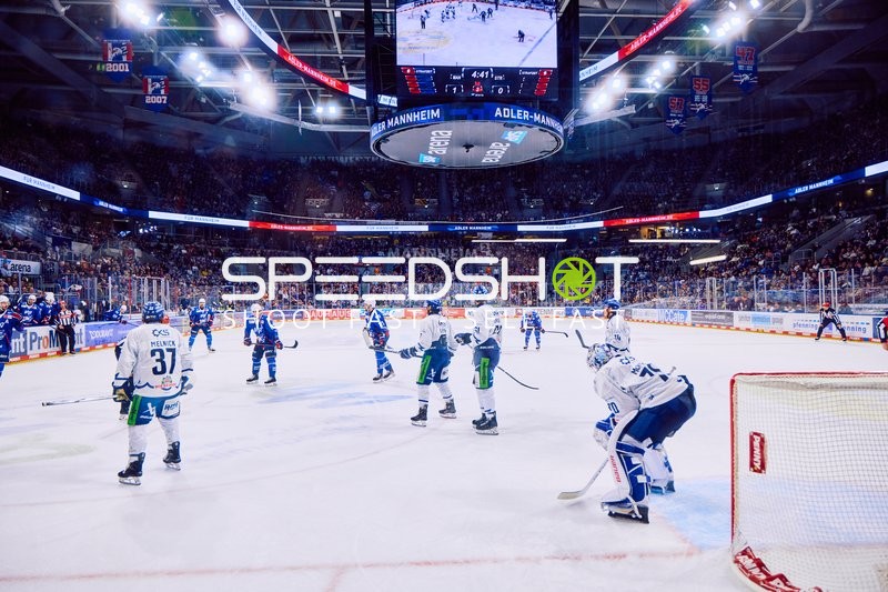 Adler Mannheim vs Straubing Tigers 14:00 Uhr