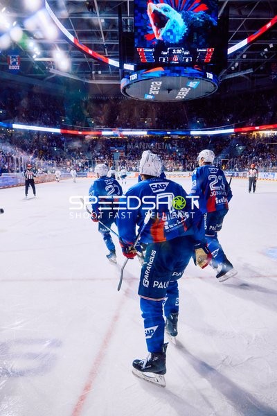 Adler Mannheim vs Straubing Tigers 14:00 Uhr