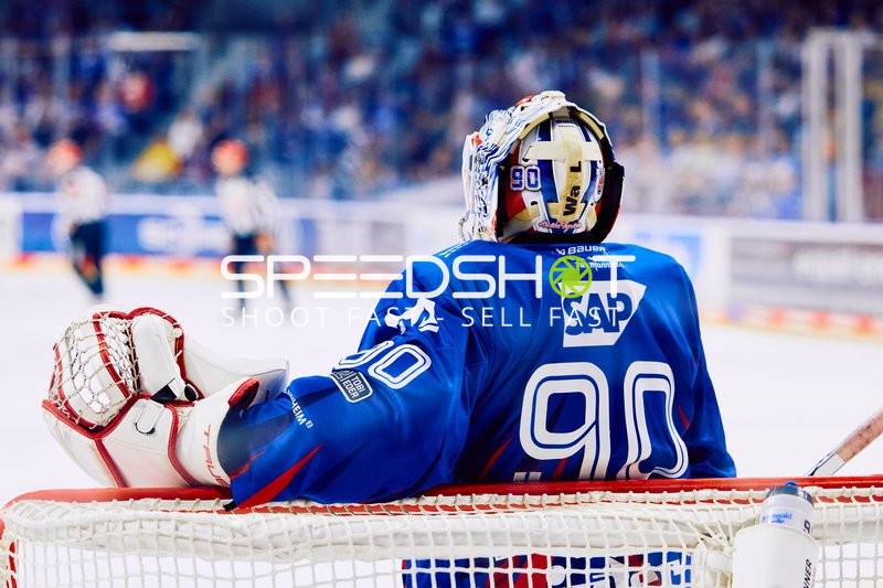 Adler Mannheim vs Straubing Tigers 14:00 Uhr