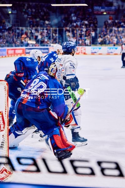 Adler Mannheim vs Straubing Tigers 14:00 Uhr