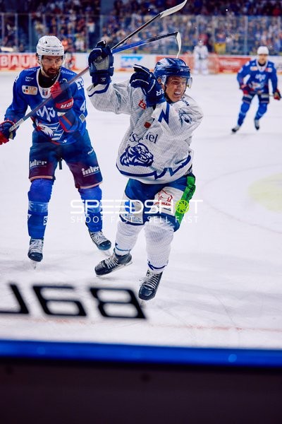 Nick Cicek (4, Adler Mannheim) gegen 19, Straubing Tigers