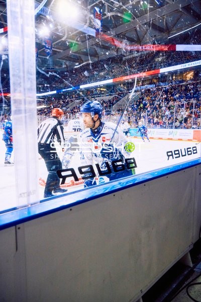Adler Mannheim vs Straubing Tigers 14:00 Uhr