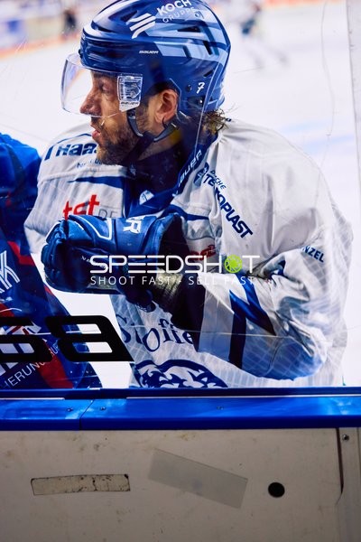 Adler Mannheim vs Straubing Tigers 14:00 Uhr