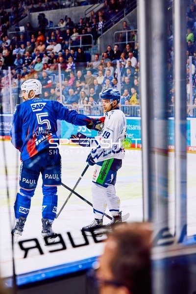 Adler Mannheim vs Straubing Tigers 14:00 Uhr
