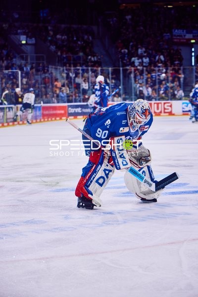 Adler Mannheim vs Straubing Tigers 14:00 Uhr