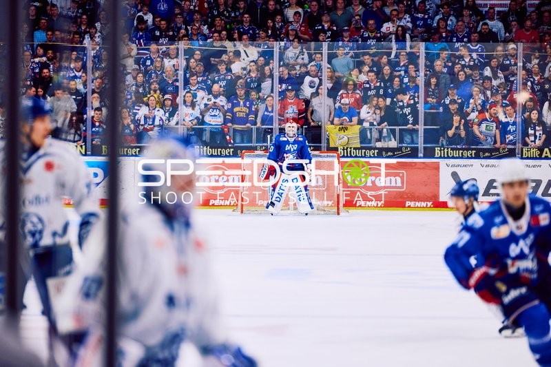 Adler Mannheim vs Straubing Tigers 14:00 Uhr