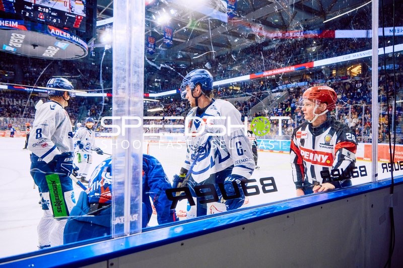 Adler Mannheim vs Straubing Tigers 14:00 Uhr