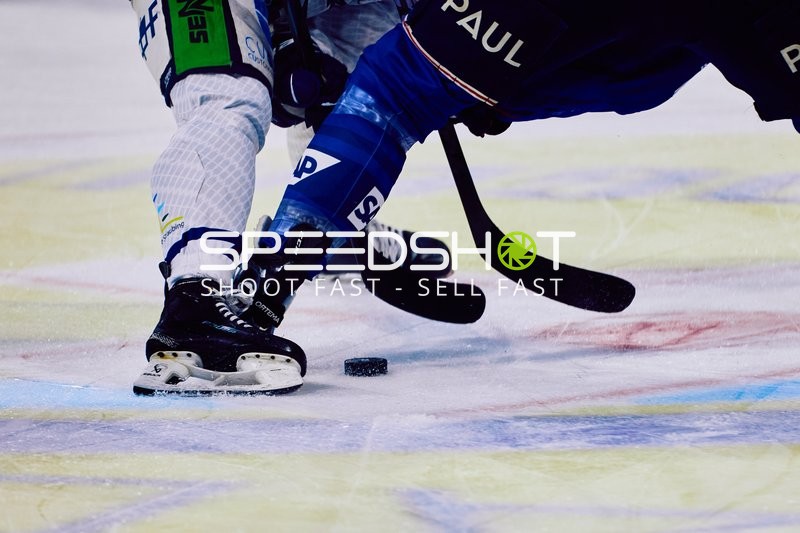 Adler Mannheim vs Straubing Tigers 14:00 Uhr