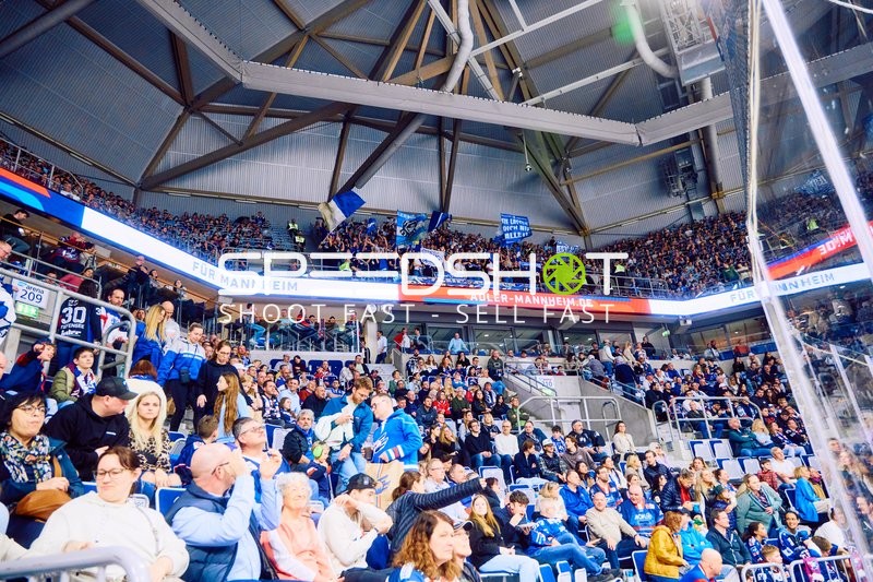 Adler Mannheim vs Straubing Tigers 14:00 Uhr