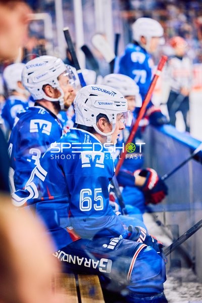 Adler Mannheim vs Straubing Tigers 14:00 Uhr