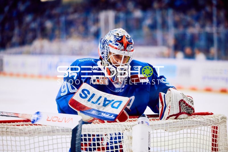 Adler Mannheim vs Straubing Tigers 14:00 Uhr