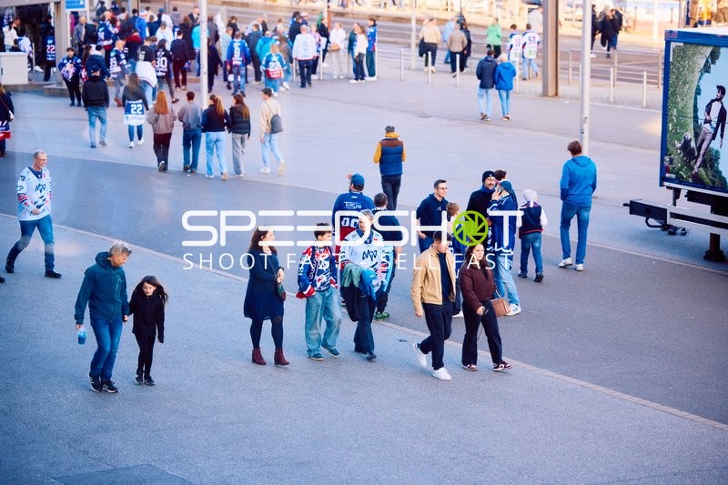 Adler Mannheim vs Straubing Tigers 14:00 Uhr