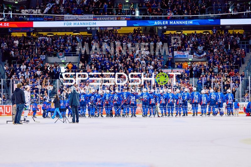 Adler Mannheim vs Straubing Tigers 14:00 Uhr