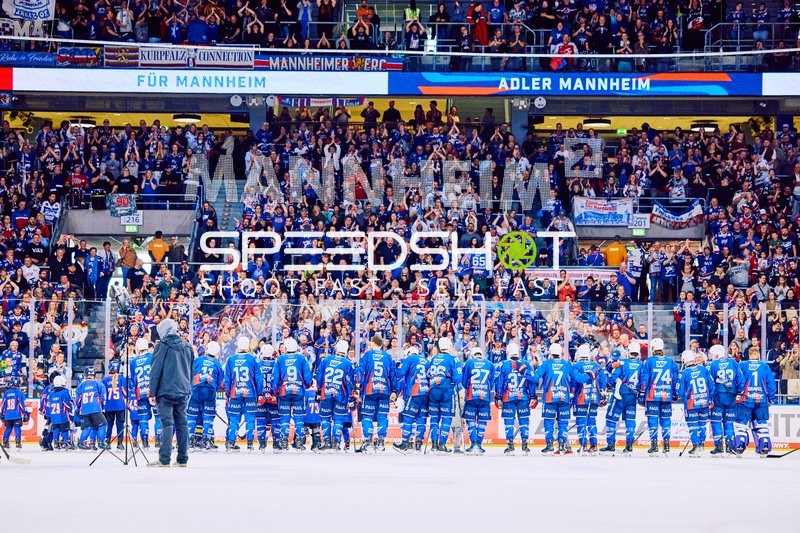 Adler Mannheim vs Straubing Tigers 14:00 Uhr