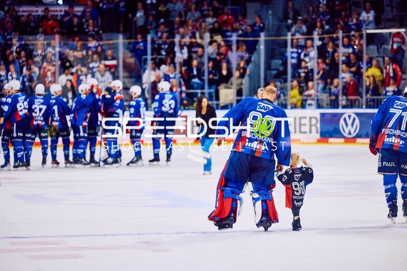Adler Mannheim vs Straubing Tigers 14:00 Uhr