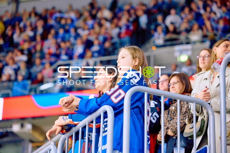 Adler Mannheim vs Straubing Tigers 14:00 Uhr