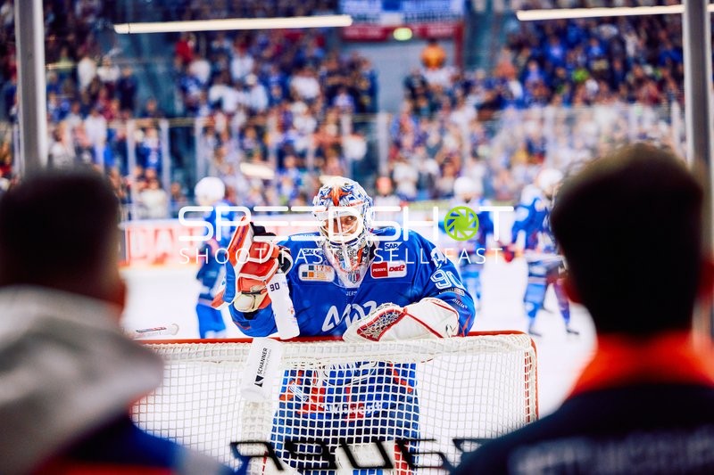 Adler Mannheim vs Straubing Tigers 14:00 Uhr