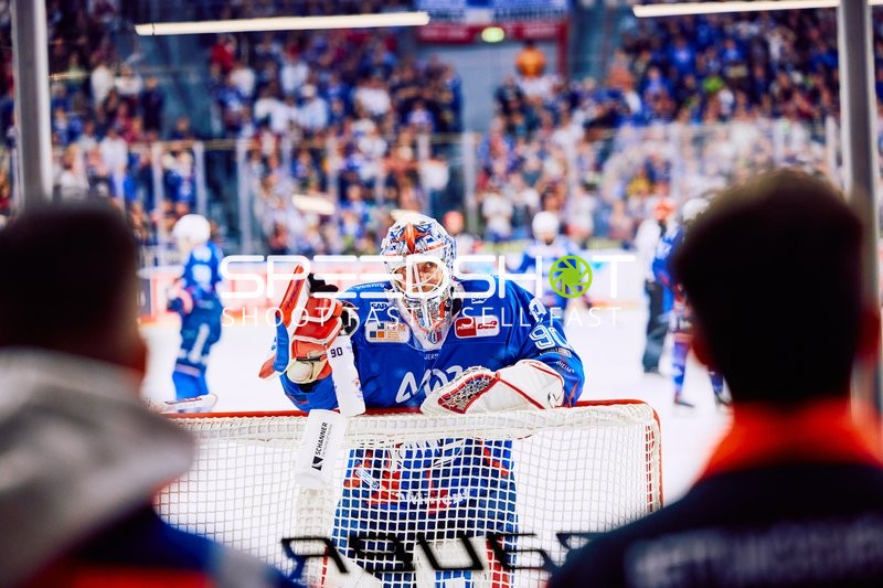 Adler Mannheim vs Straubing Tigers 14:00 Uhr