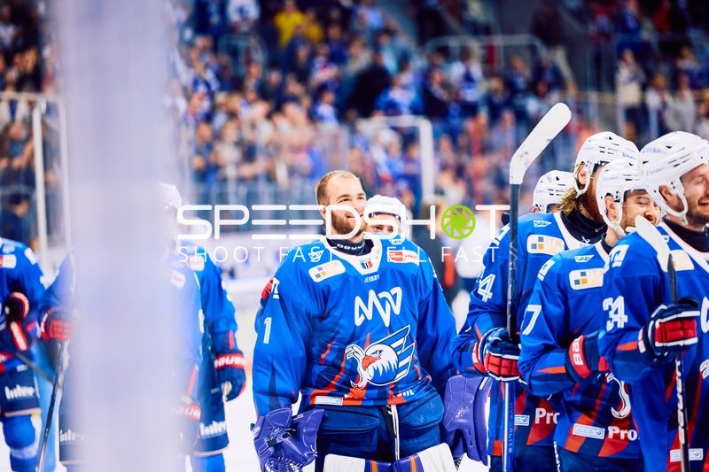 Adler Mannheim vs Straubing Tigers 14:00 Uhr