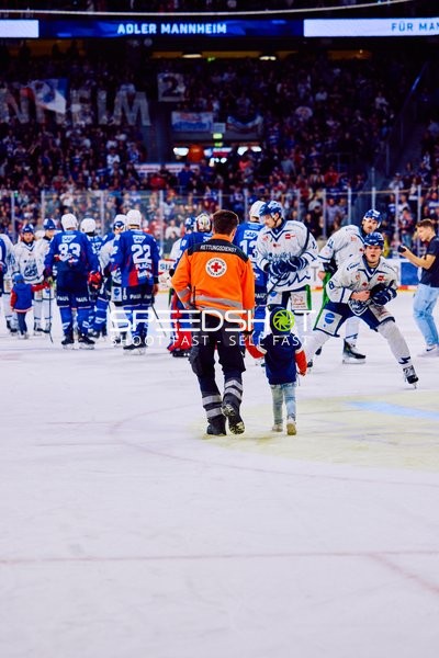 Adler Mannheim vs Straubing Tigers 14:00 Uhr