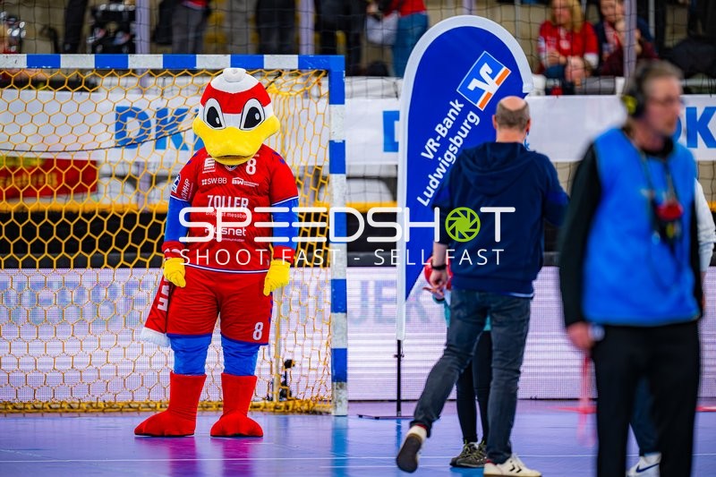 Maskottchen auf dem Spielfeld