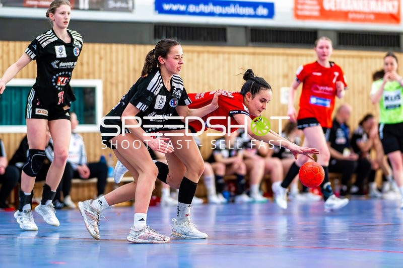 Handball I Jugend I Saison 2024-2025 I A-Jugend Bundesliga I SG Schozach-Bottwartal - HC Erlangen I 02.03.2025