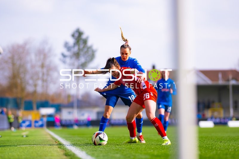 Fußball I Damen I Saison 2024-2025 I Google Pixel Frauen-Bundesliga I 17. Spieltag I TSG 1899 Hoffenheim - 1. FC Köln I 15.03.2025