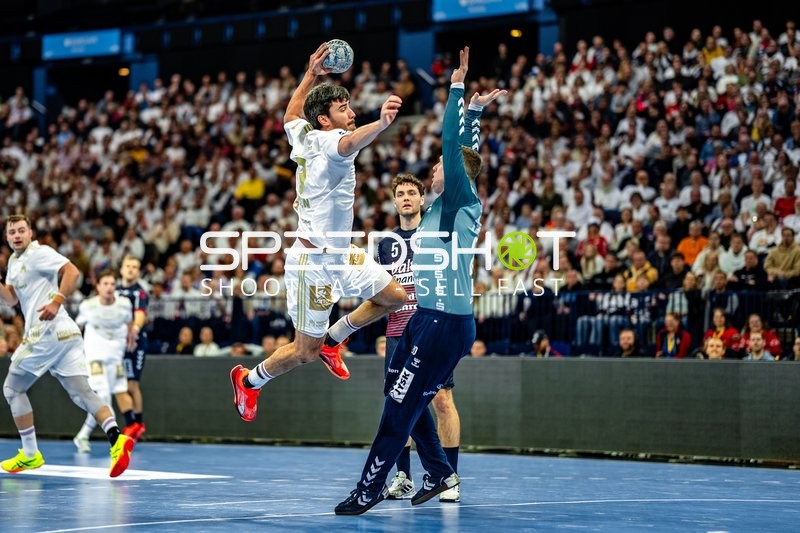 Handball I Herren I Saison 2024-2025 I Daikin HBL I 16. Spieltag I Handball Sport Verein Hamburg – SG Flensburg-Handewitt