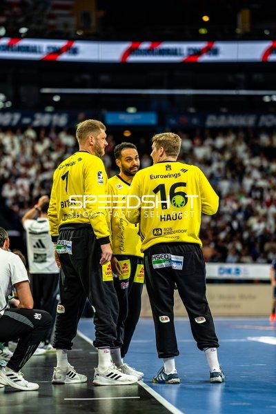 Handball I Herren I Saison 2024-2025 I Daikin HBL I 16. Spieltag I Handball Sport Verein Hamburg – SG Flensburg-Handewitt