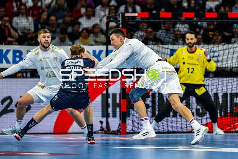 Handball I Herren I Saison 2024-2025 I Daikin HBL I 16. Spieltag I Handball Sport Verein Hamburg – SG Flensburg-Handewitt