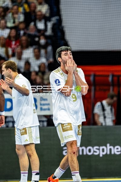 Handball I Herren I Saison 2024-2025 I Daikin HBL I 16. Spieltag I Handball Sport Verein Hamburg – SG Flensburg-Handewitt