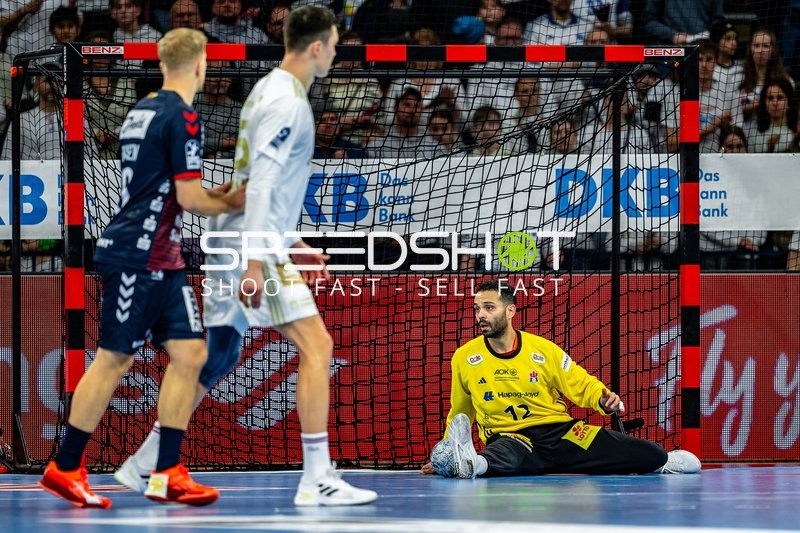 Handball I Herren I Saison 2024-2025 I Daikin HBL I 16. Spieltag I Handball Sport Verein Hamburg – SG Flensburg-Handewitt