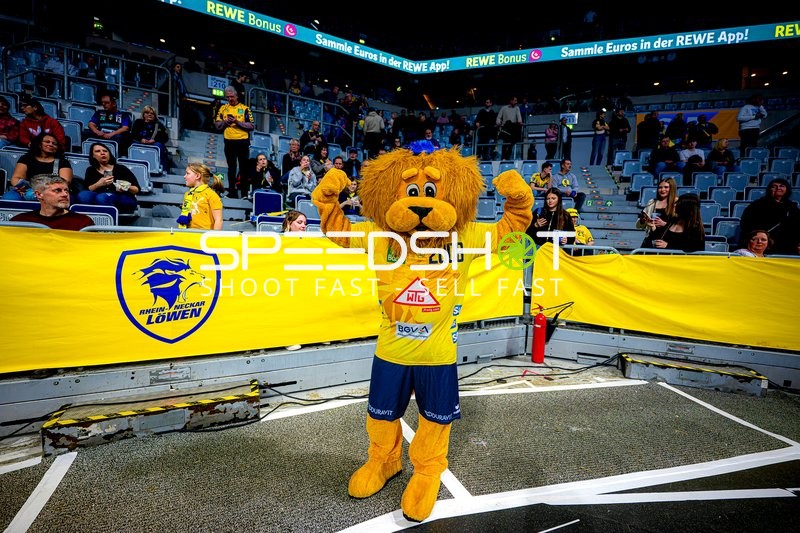 Handball I Herren I Saison 2024-2025 I Daikin HBL I 24. Spieltag I Rhein-Neckar Löwen - TSV Hannover-Burgdorf I 20.03.2025