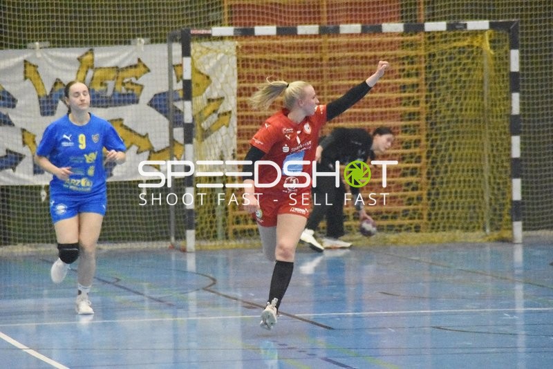 Kurpfalz Bären - HC Leipzig 25:44