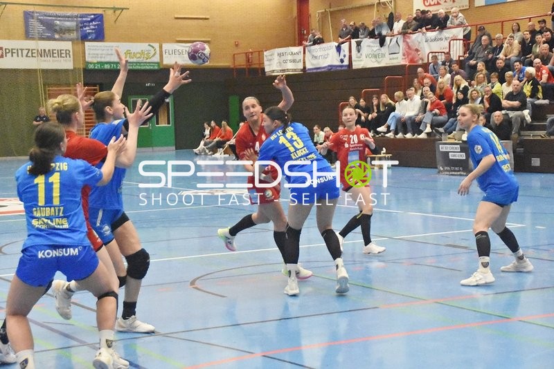 Kurpfalz Bären - HC Leipzig 25:44