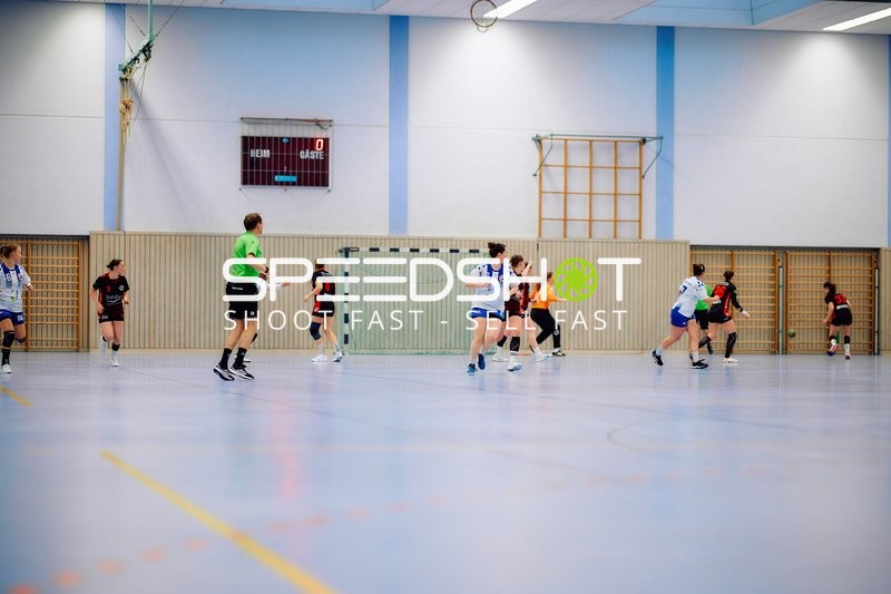 handballspiel