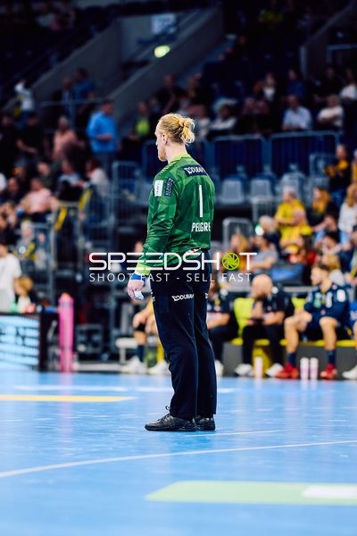 Torwart der Rhein-Neckar Löwen in der SAP Arena