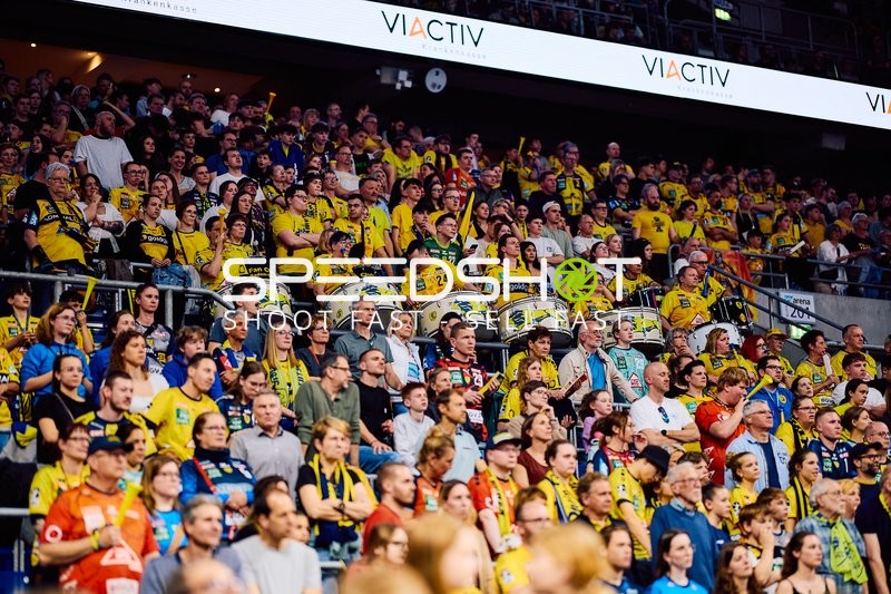 Jubelnde Rhein-Neckar Löwen Fans in der SAP Arena