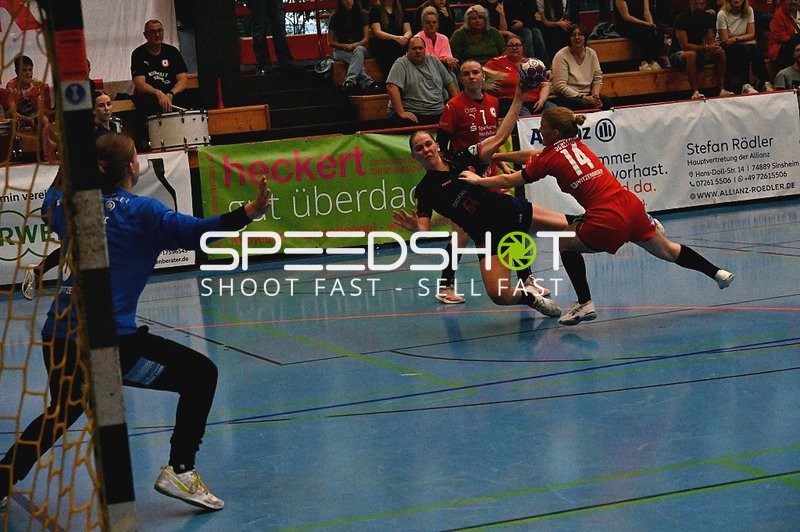 Wurf Nummer 11 der Kurpfalz Bären gegen Mainz 05