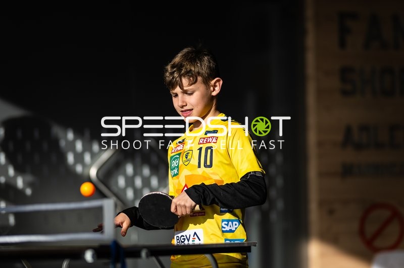 Tischtennis in Löwenfarben