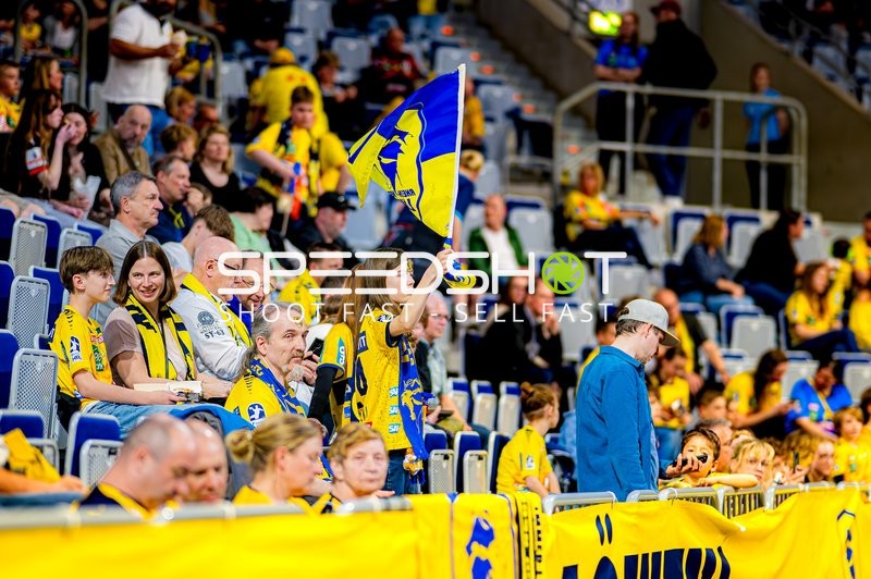 Fangeschehen bei Rhein Neckar Löwen