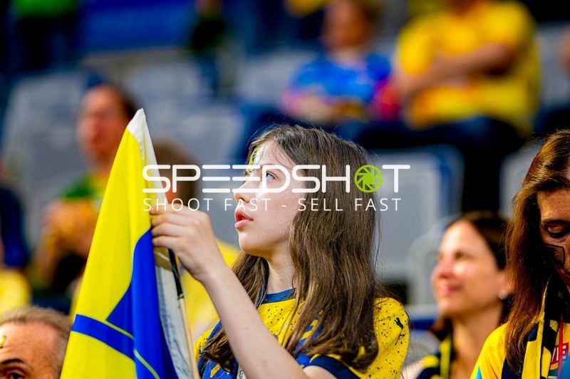 Fan jubelt mit Fahne