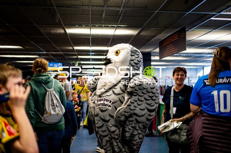 Maskottchen begrüßt Fans vor dem Spiel