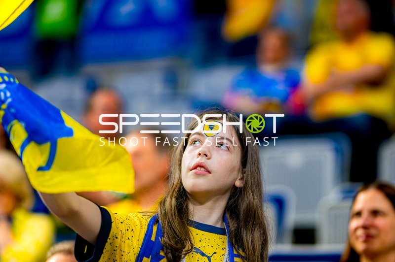 Fanjubel bei den Rhein-Neckar Löwen