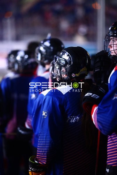 Vorbereitung der Adler Mannheim