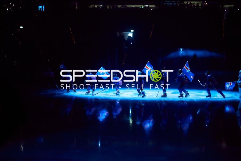 Adler Mannheim Einlauf mit Fahnen