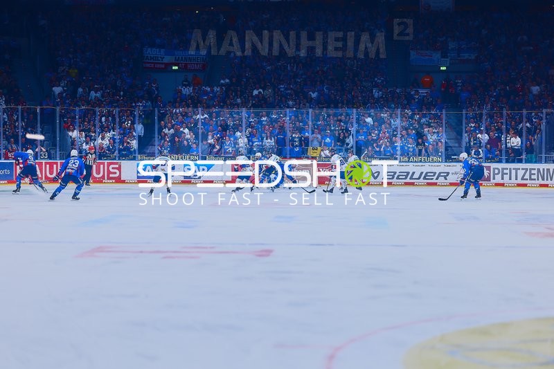 Puckkampf zwischen Adler Mannheim und Eisbären Berlin