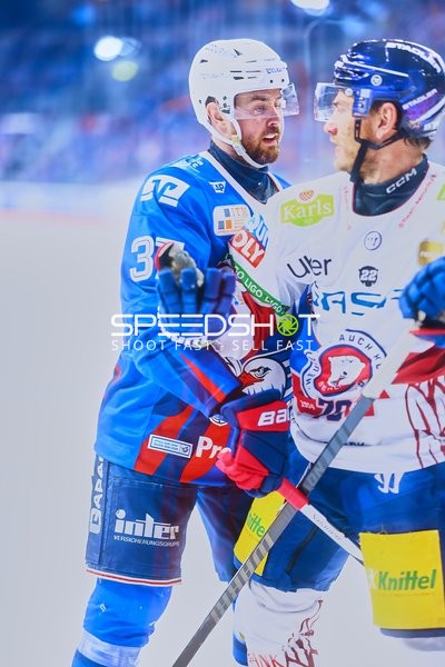 Konfrontation zwischen Adler und Eisbären